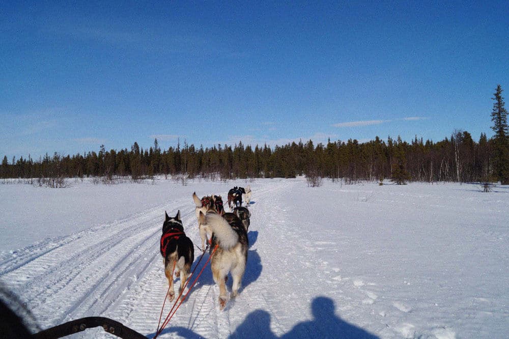 Swedish Lapland 6